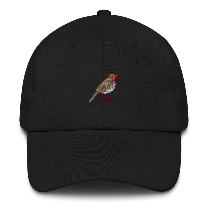 Easy Going Georgia Bird Cap