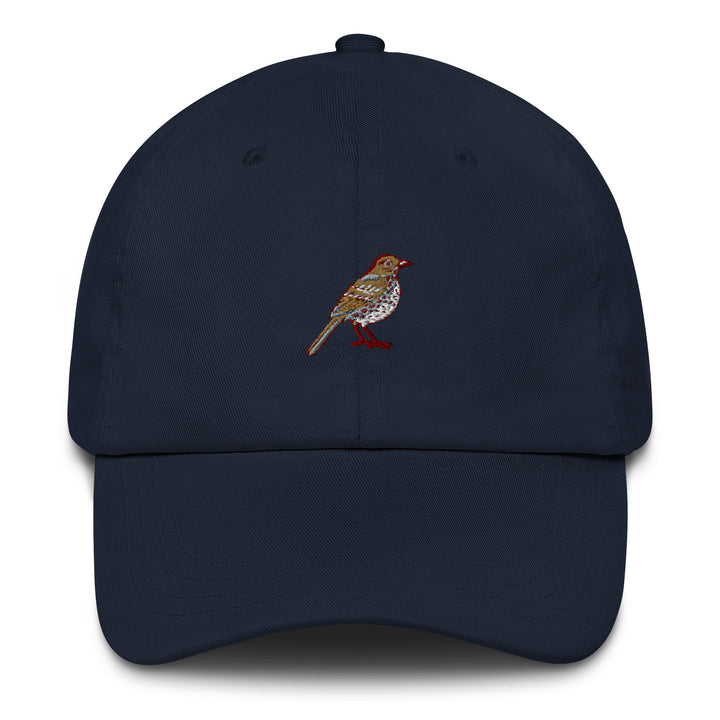 Easy Going Georgia Bird Cap