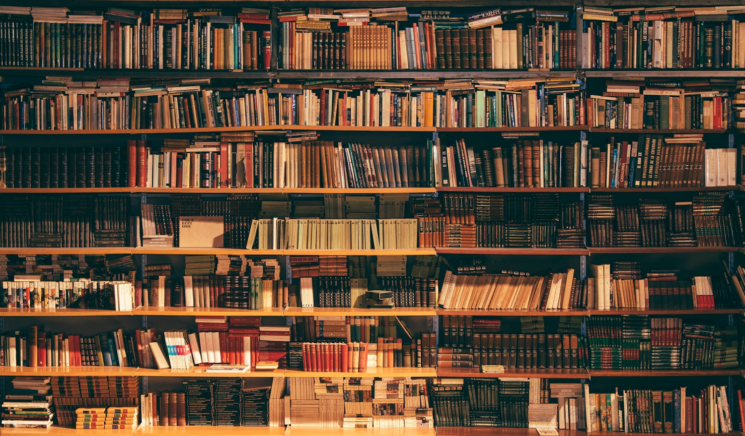 Library bookshelves full of books